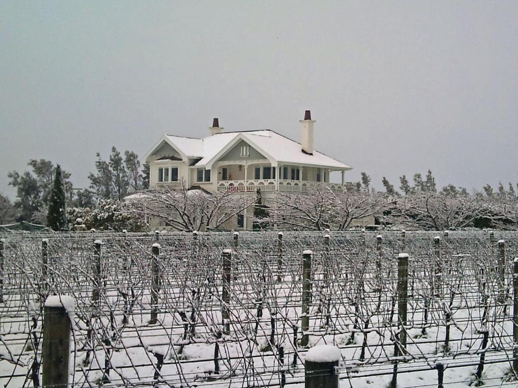 Vynfields Martinborough Exterior foto